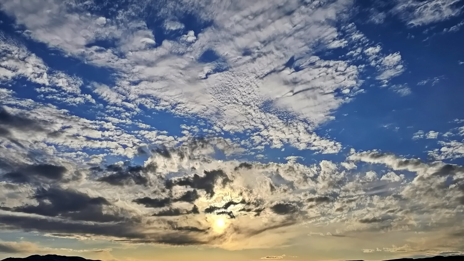 Photo #13765981