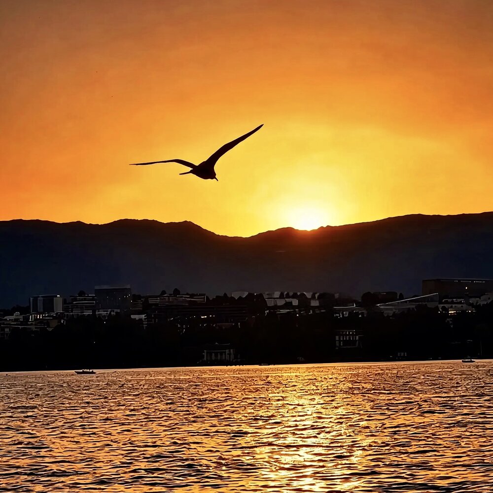 Golden Hour in Geneva