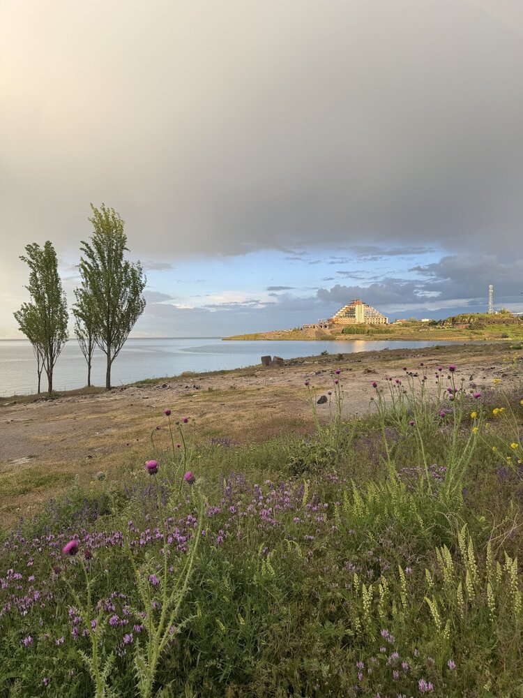 Photograph by Светлана
