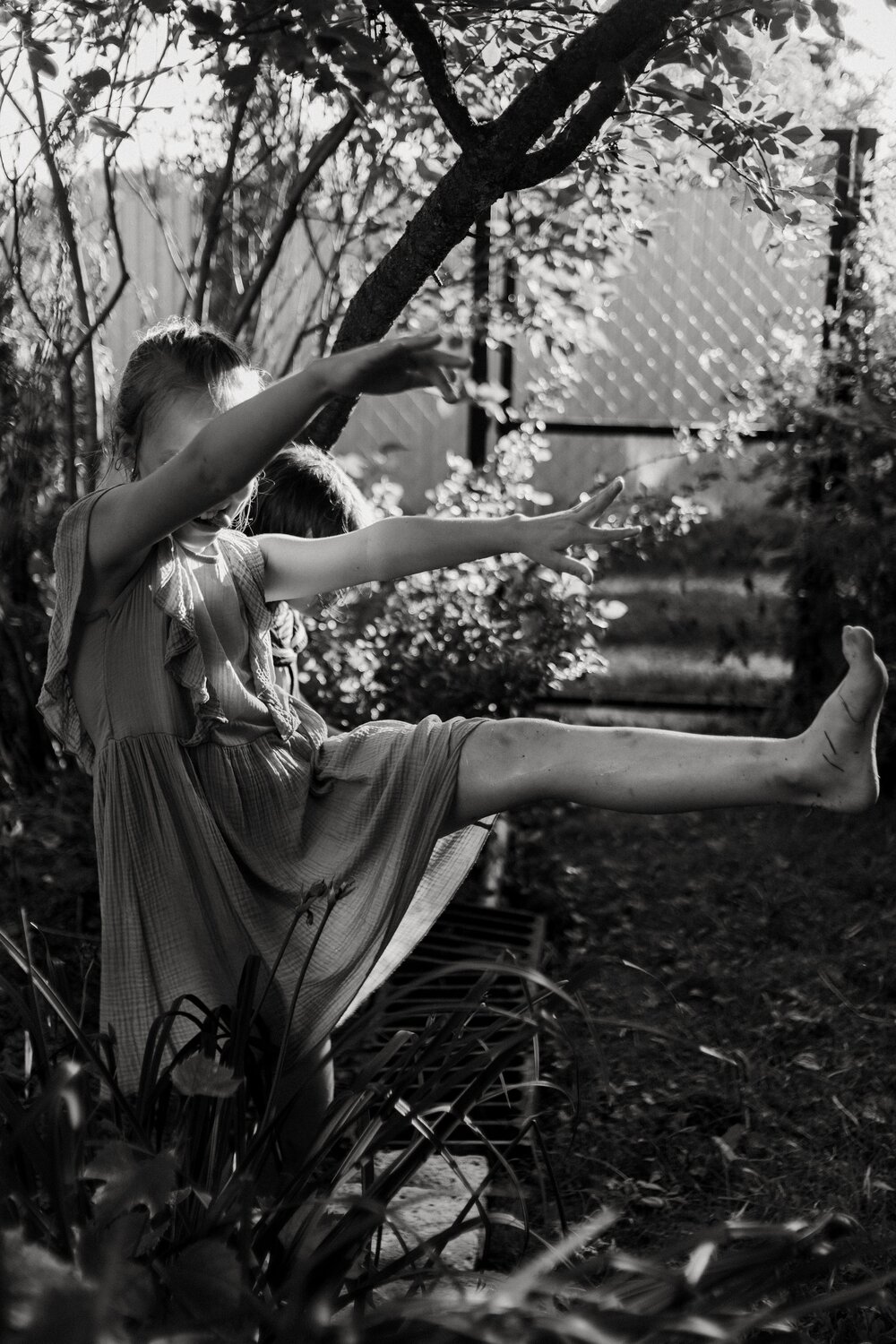 Photo #13766033