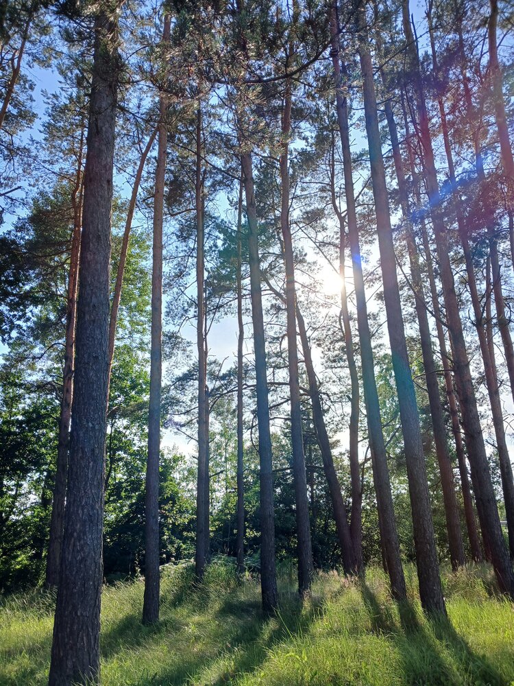 Photograph by Ольга Юрченко