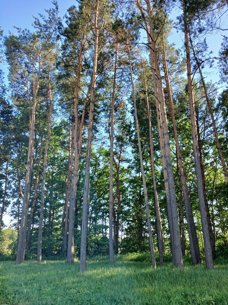 Photograph by Ольга Юрченко