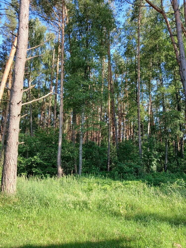 Photograph by Ольга Юрченко