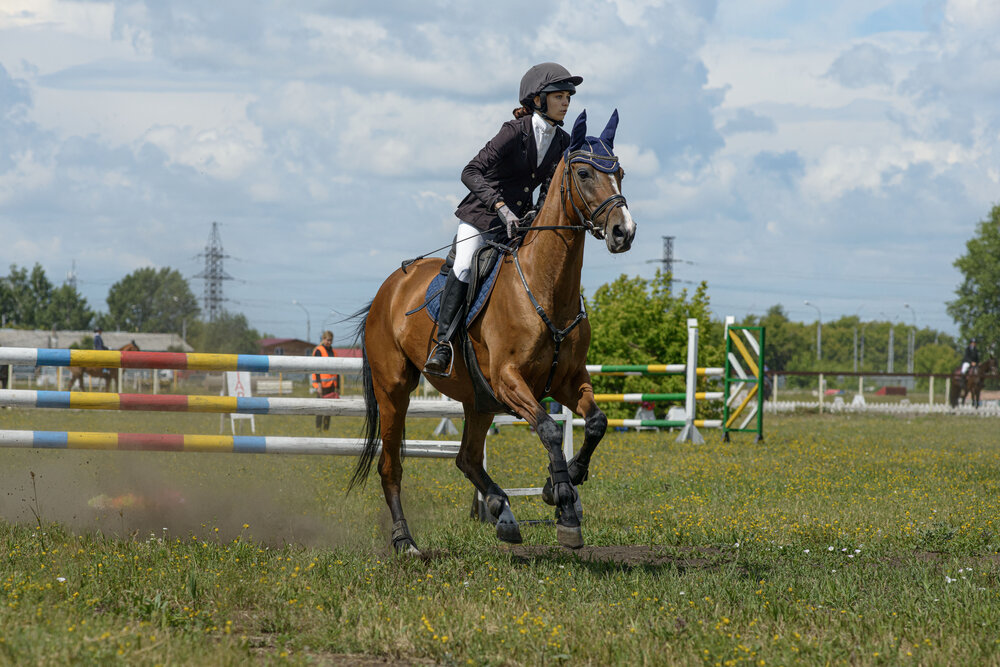 Photo #13766101