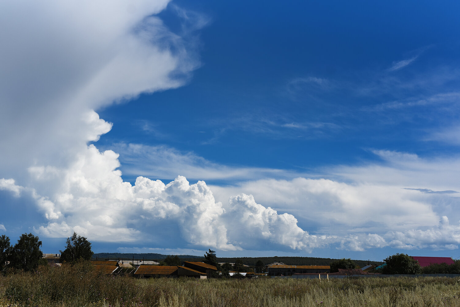 Photo #13766120