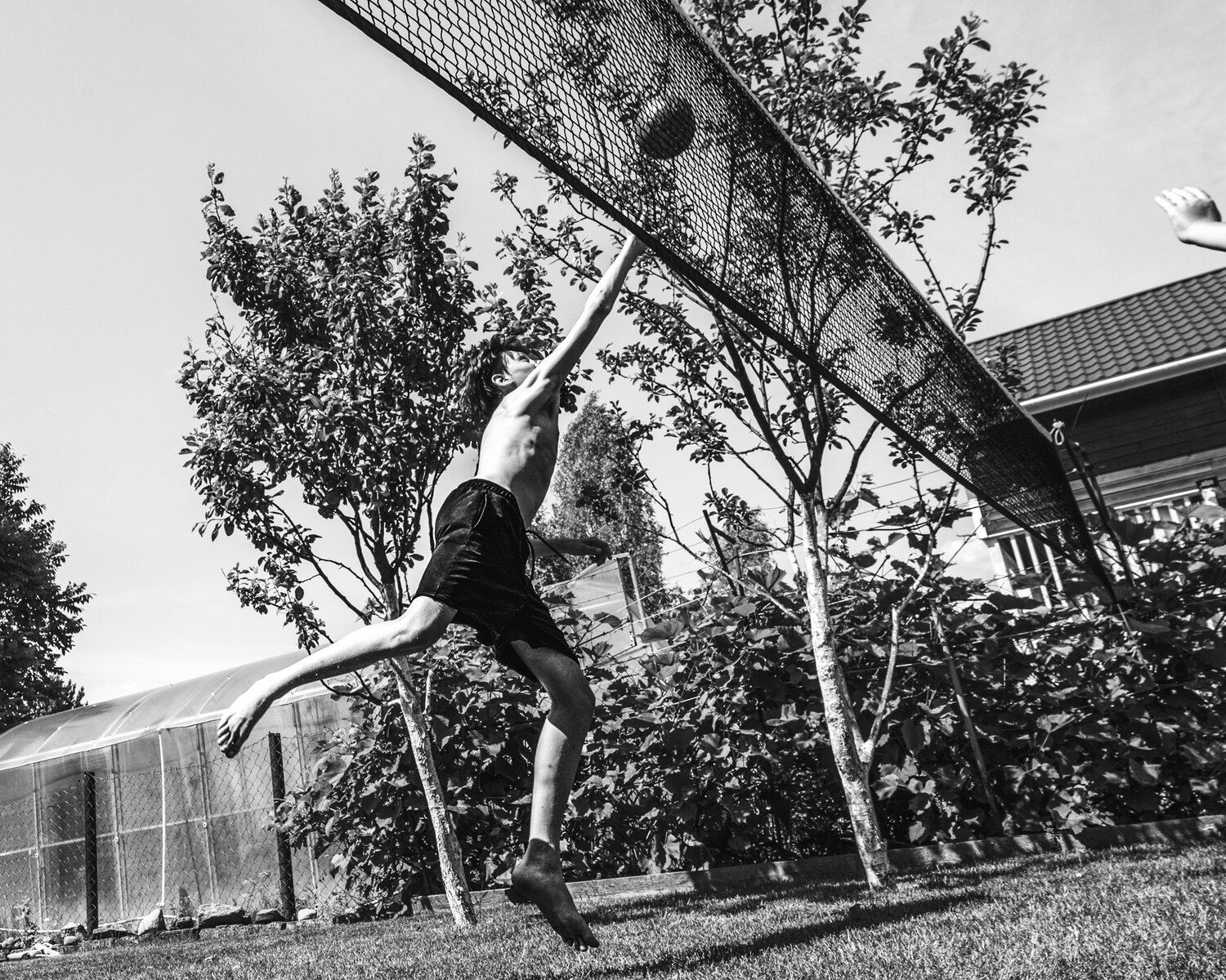 Photo #13766172