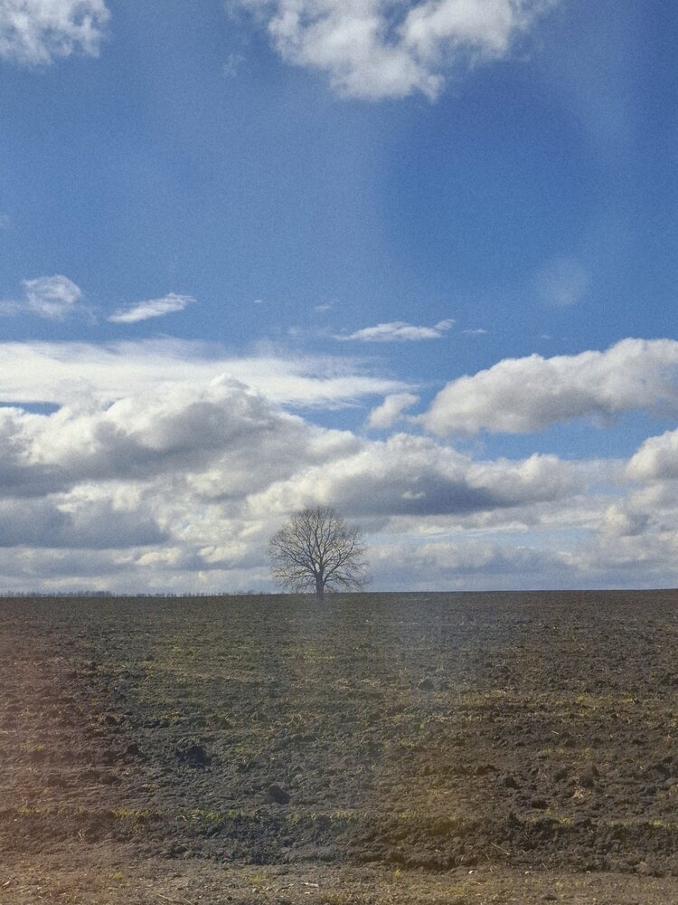 Photograph by Катерина Солдатова