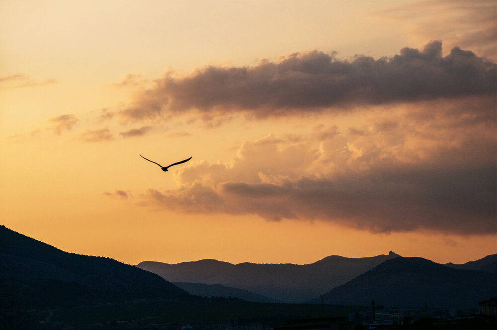 Photo #13766200