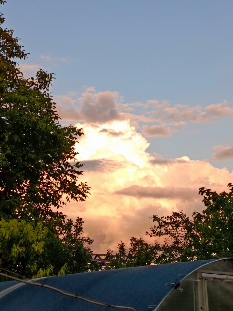 Photograph by Татьяна Пальчикова