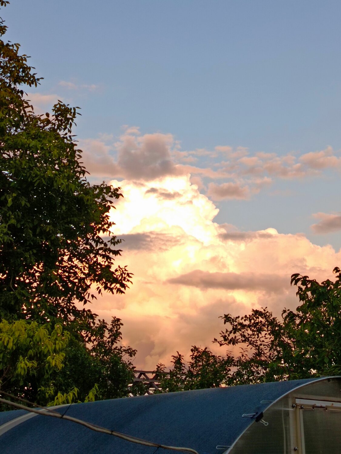 Photo #13766226