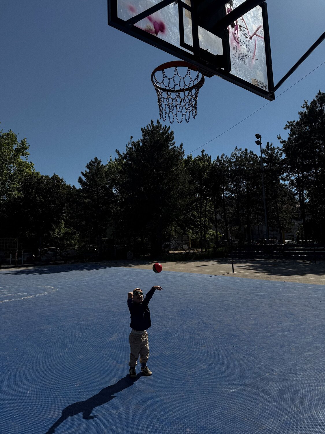 Photo #13766268