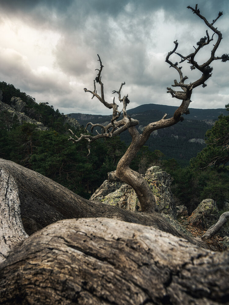 Photograph by Daniel Villalba Garcia