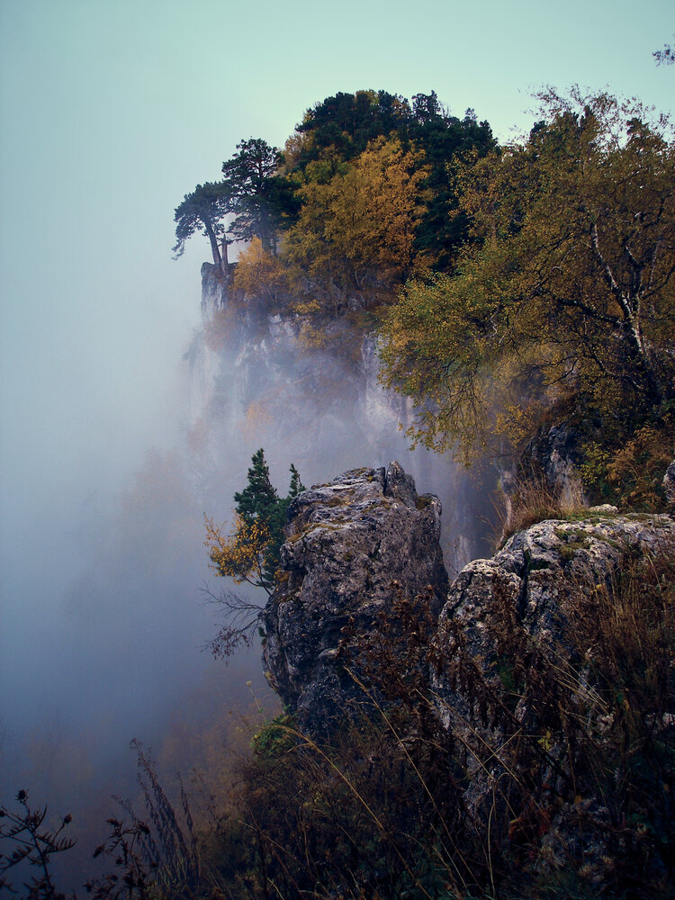 Photo #13766291