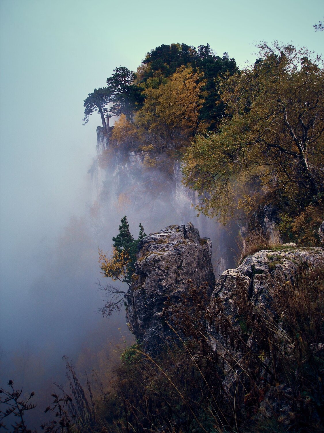 Photo #13766291