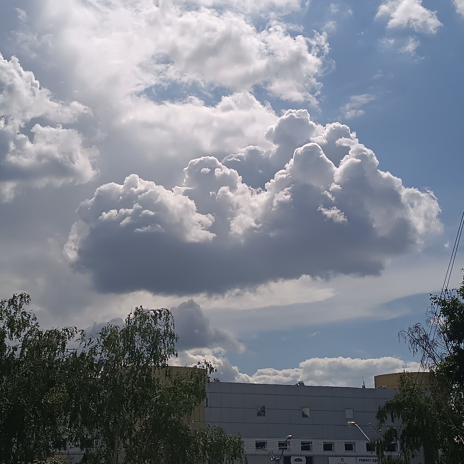 Photo #13766305