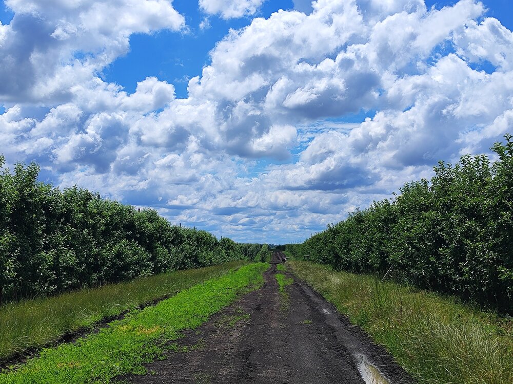 Photograph by Анфиса Васильченко