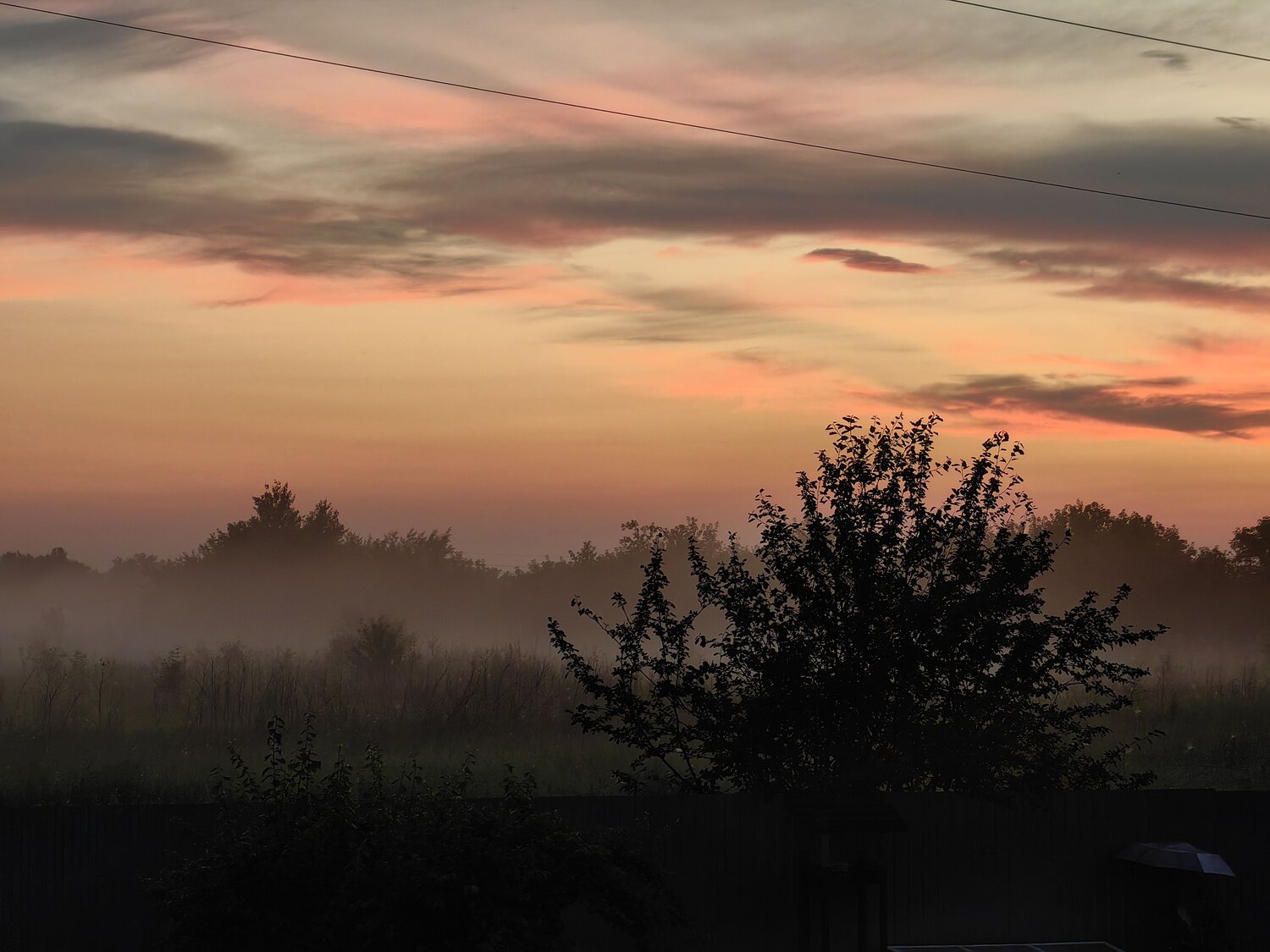 Photo #13766358