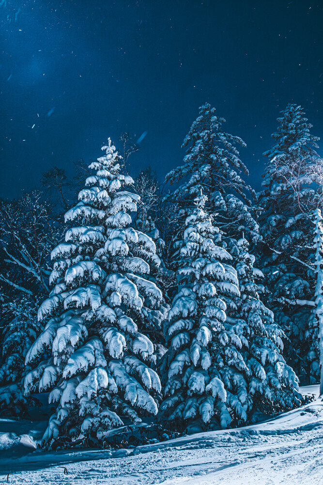 Photograph by Павел Ващилов