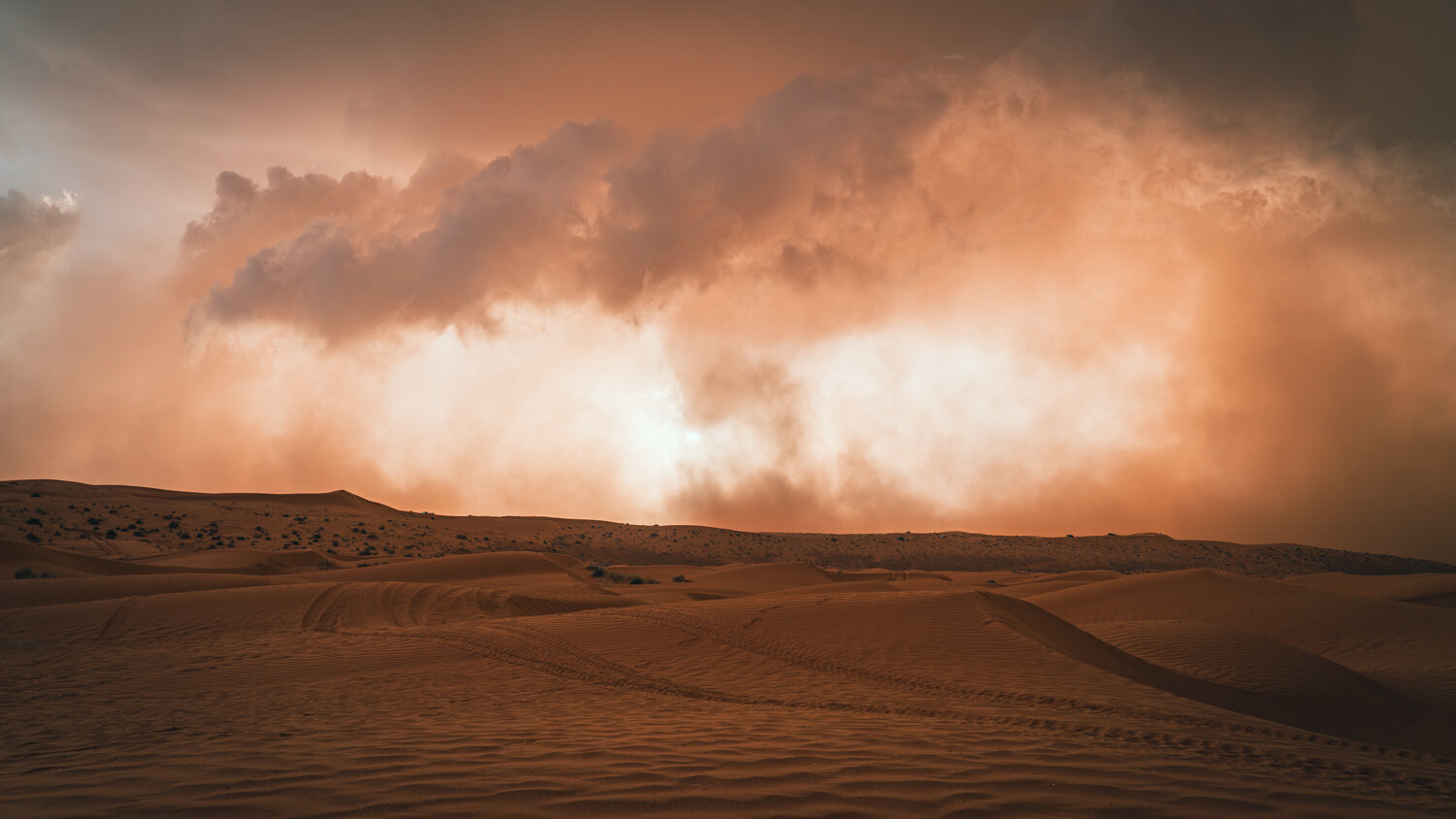 Photo #13766422