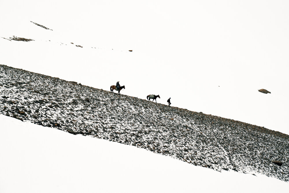 Photograph by Brian Robinson