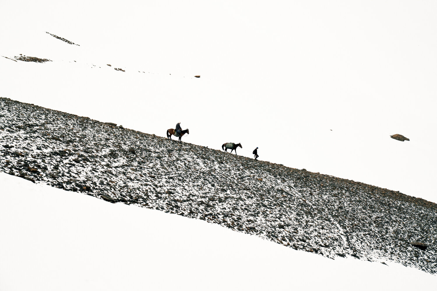 Photo #13766426