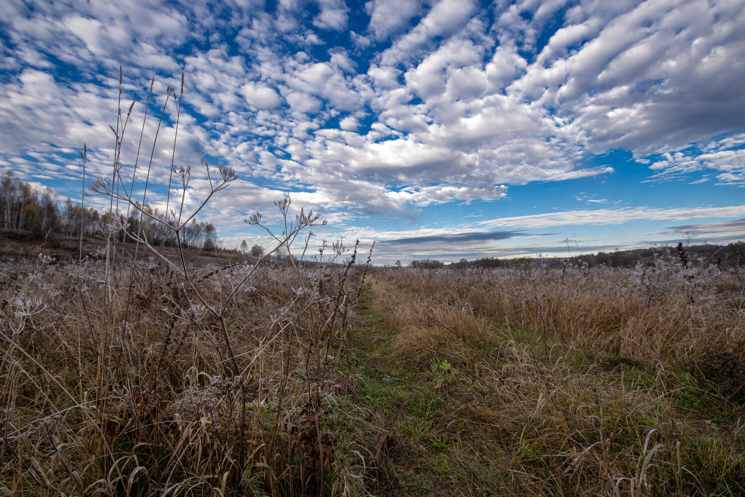 Photo #13766489