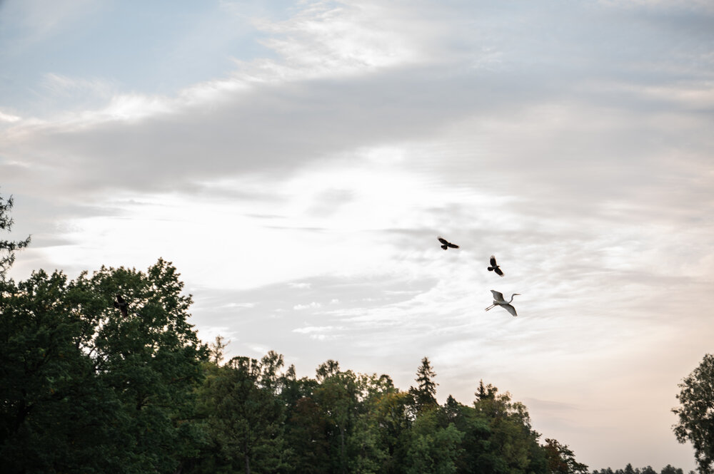 Photograph by Снежанна