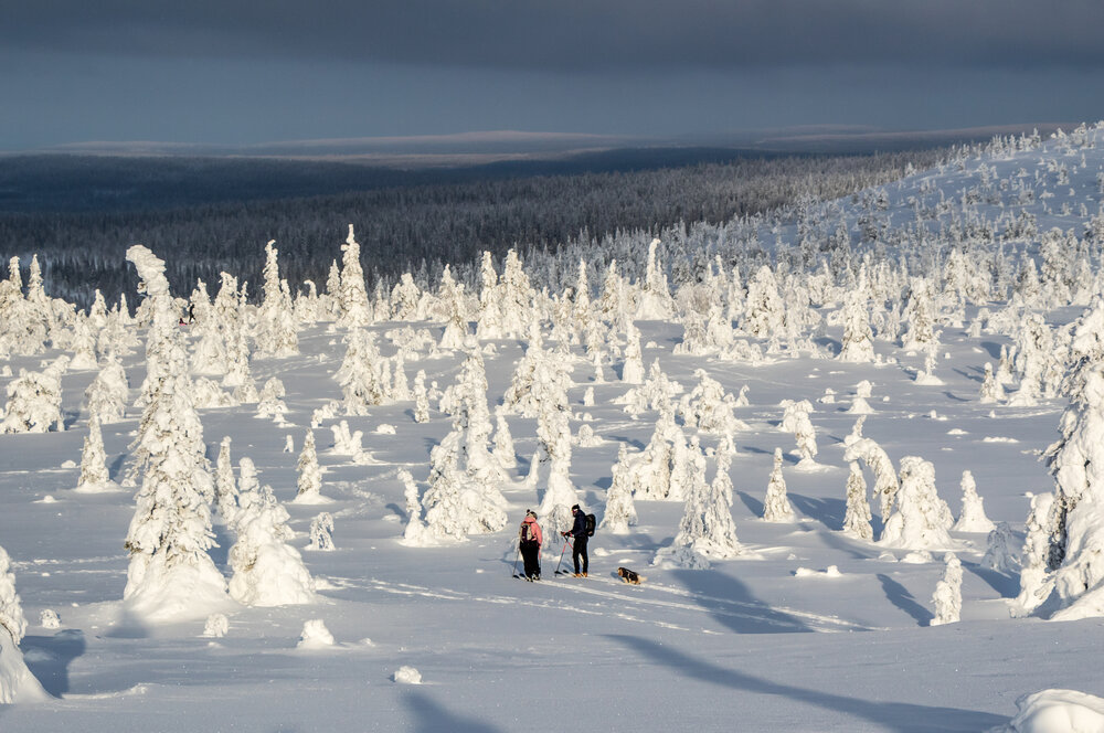 Photograph by Вадим Городницкий