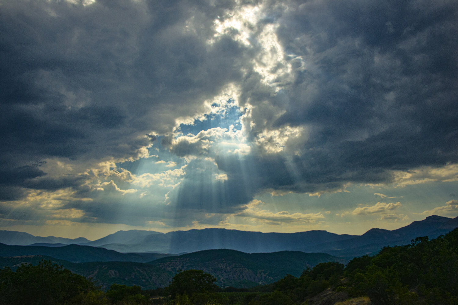 Photo #13766594