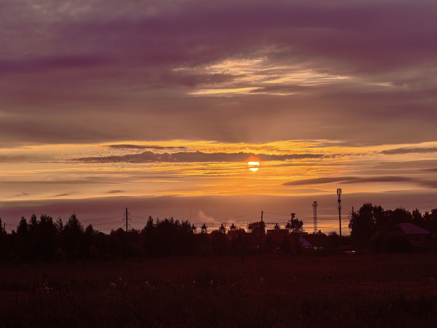 Photo #13766644