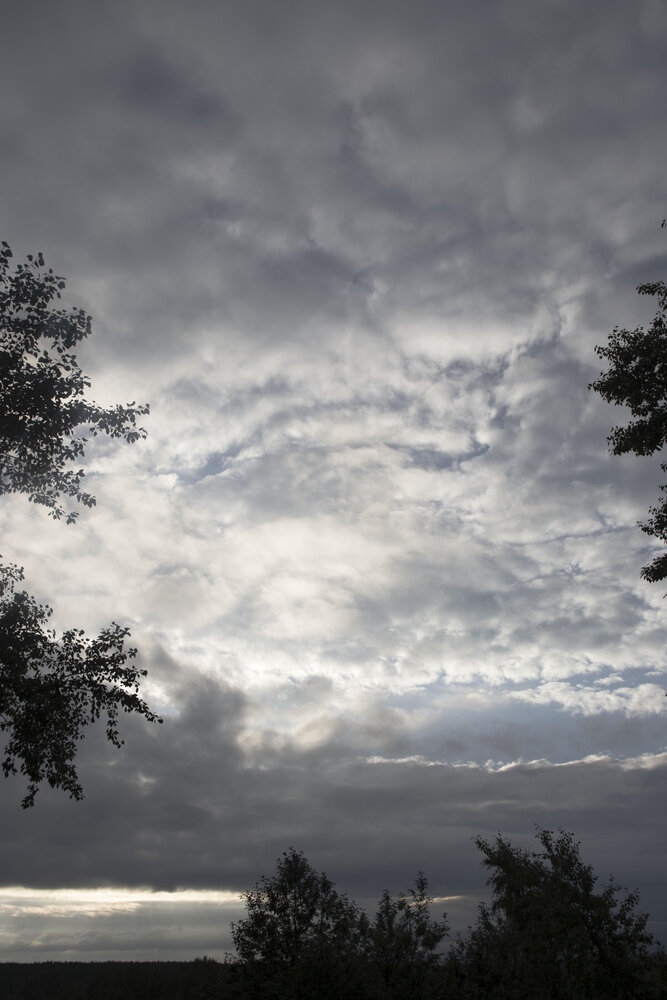 Photo #13766679