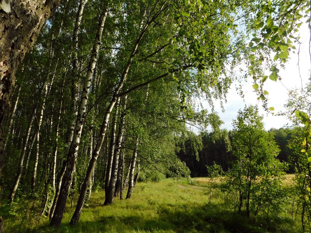 Photograph by Игорь Галеев