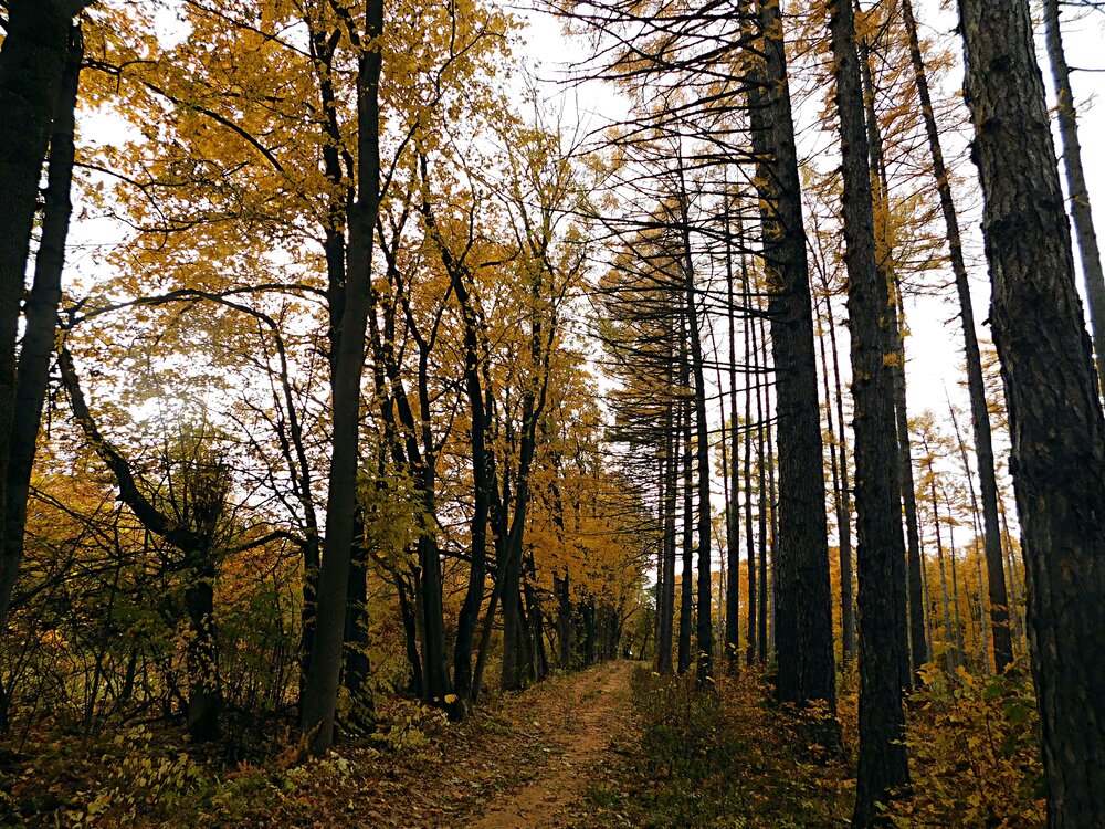 Photograph by Игорь Галеев