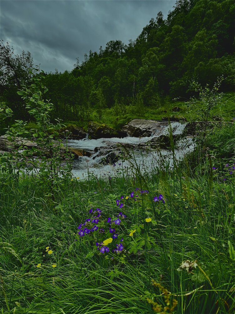 Photograph by Алла Киселева
