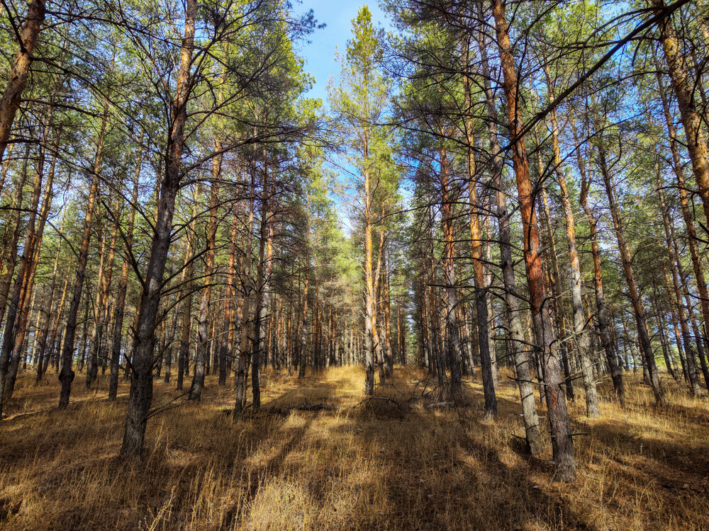 Photograph by Ирина Шибитова