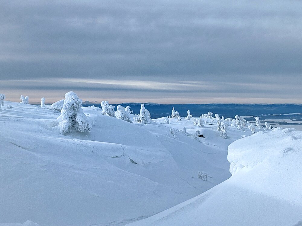 Photograph by OLGA MIKHNEVICH