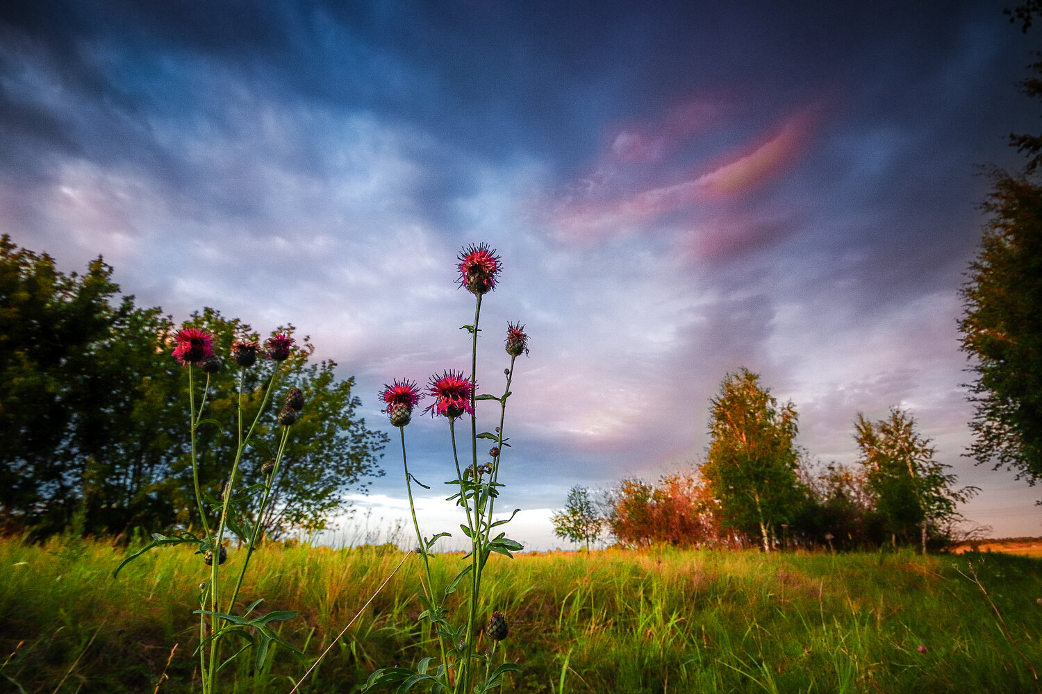 Photo #13766837