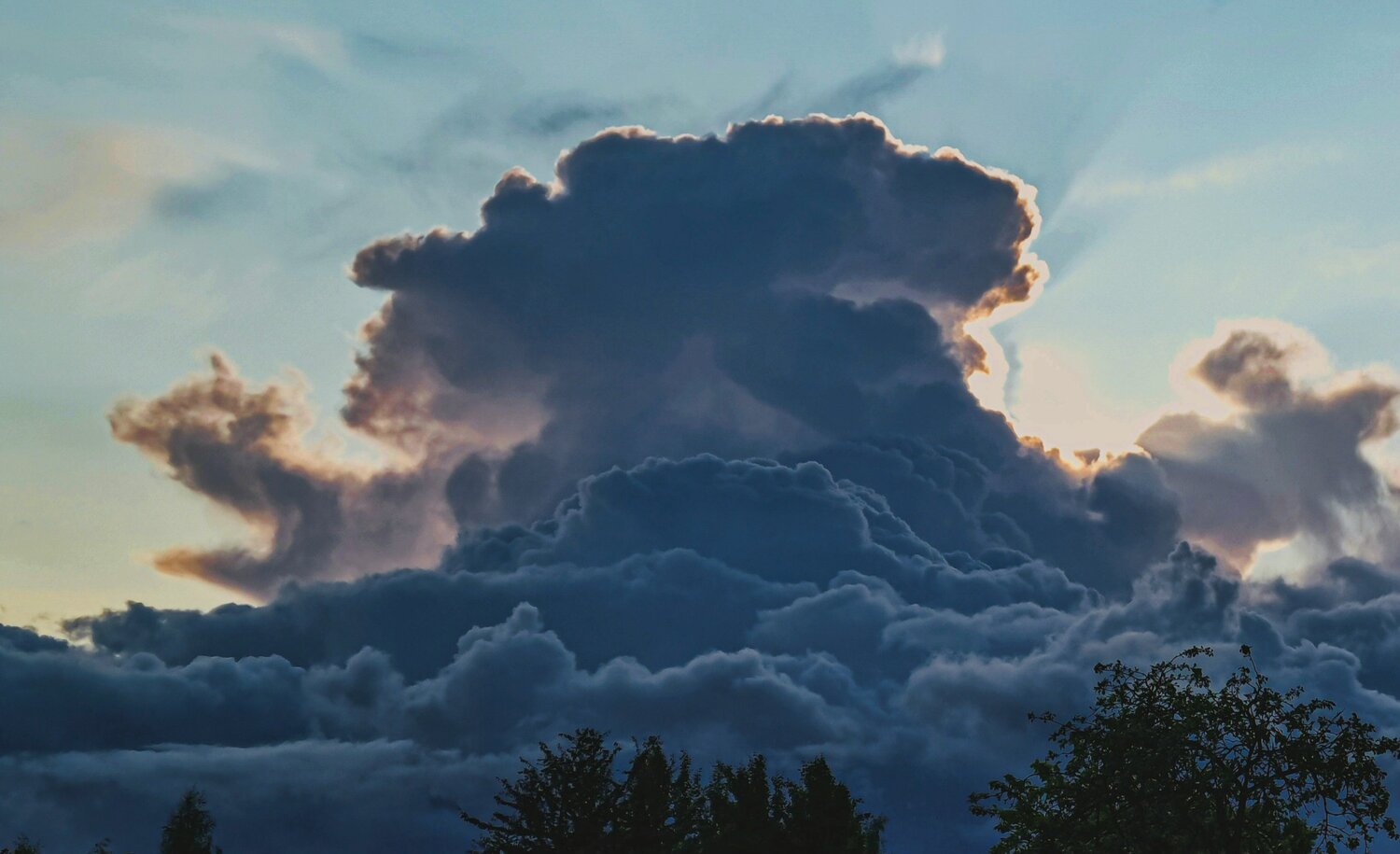 Photo #13766845