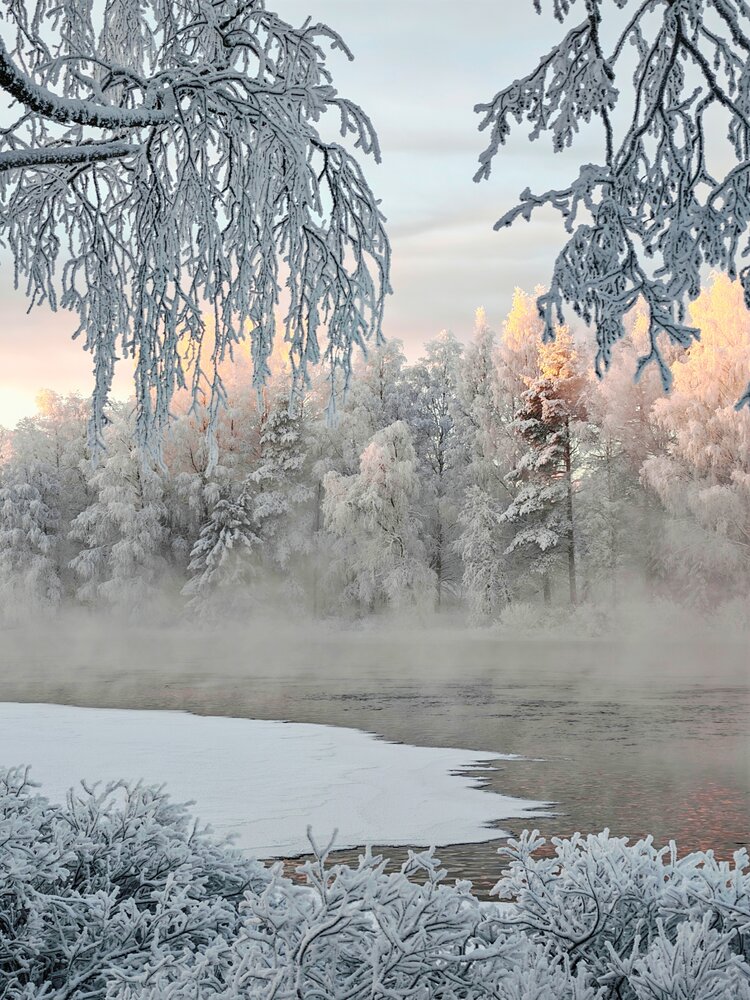 Photo #13766899