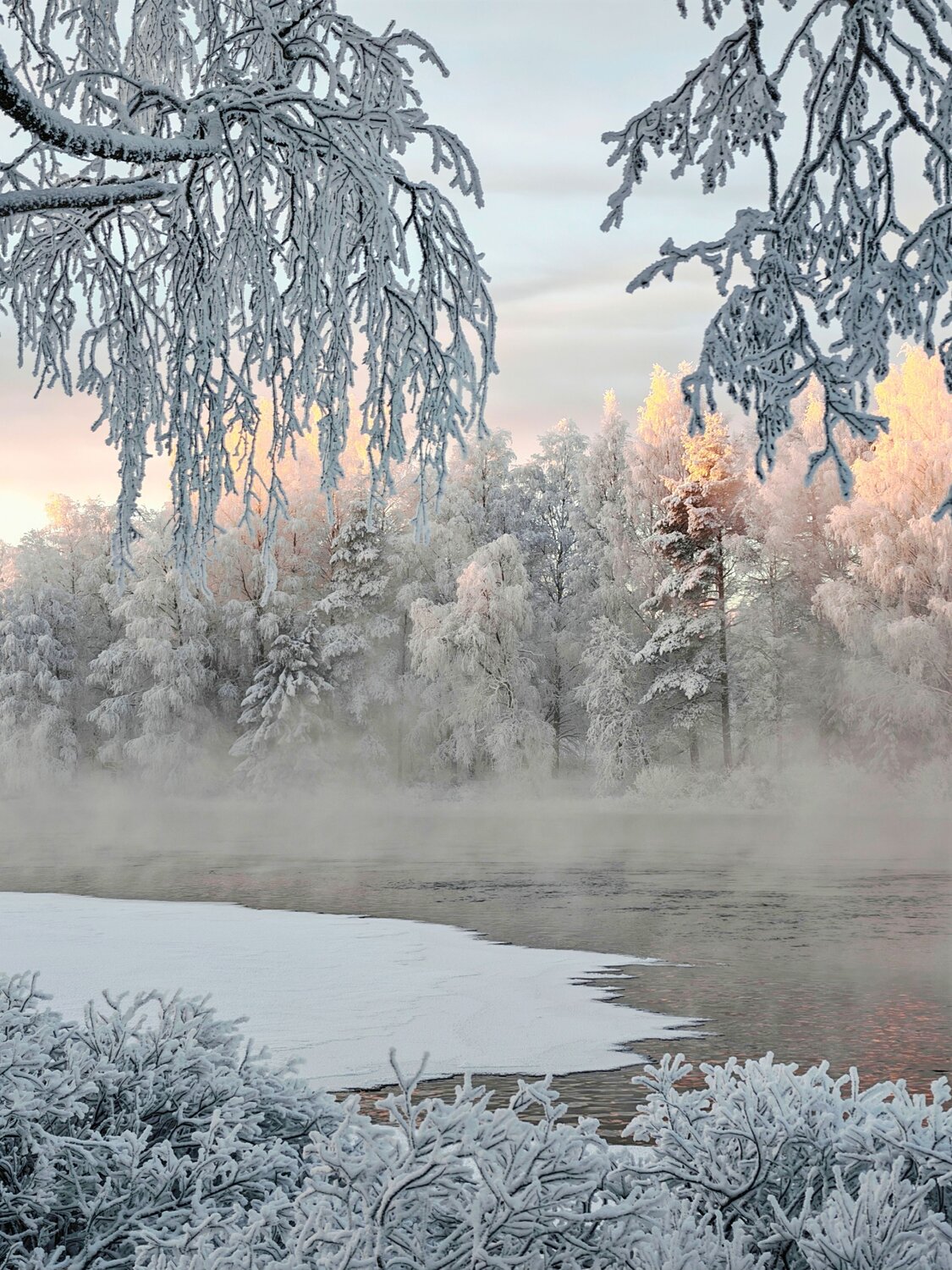Photo #13766899