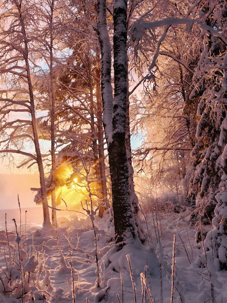 Photo #13766905
