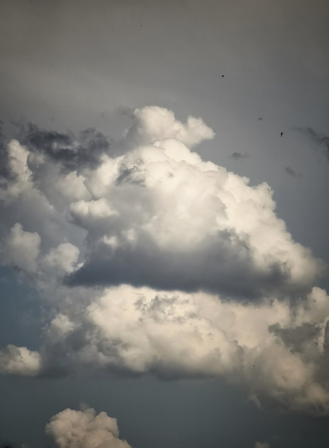 Photo #13766914