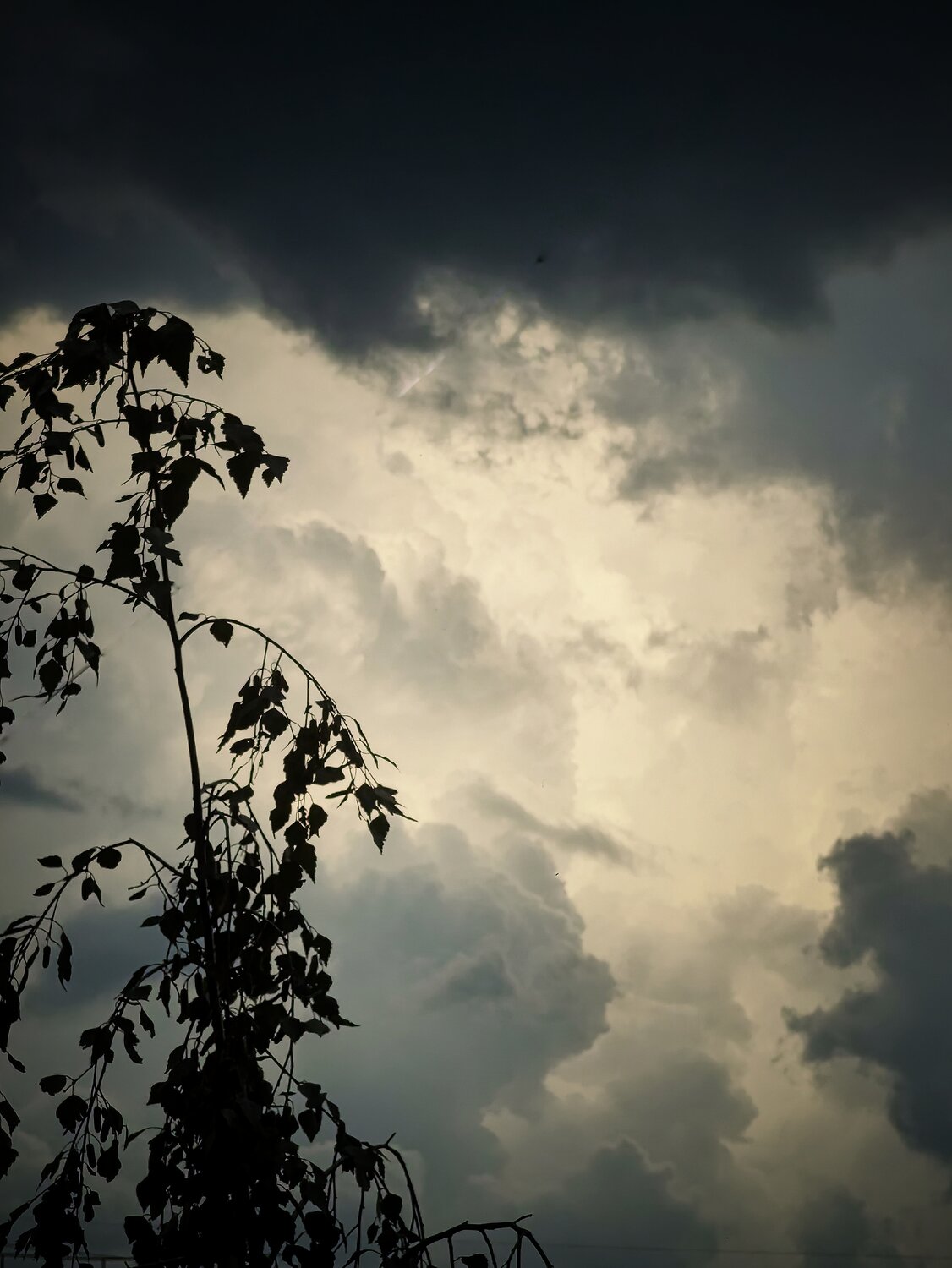 Photo #13766917