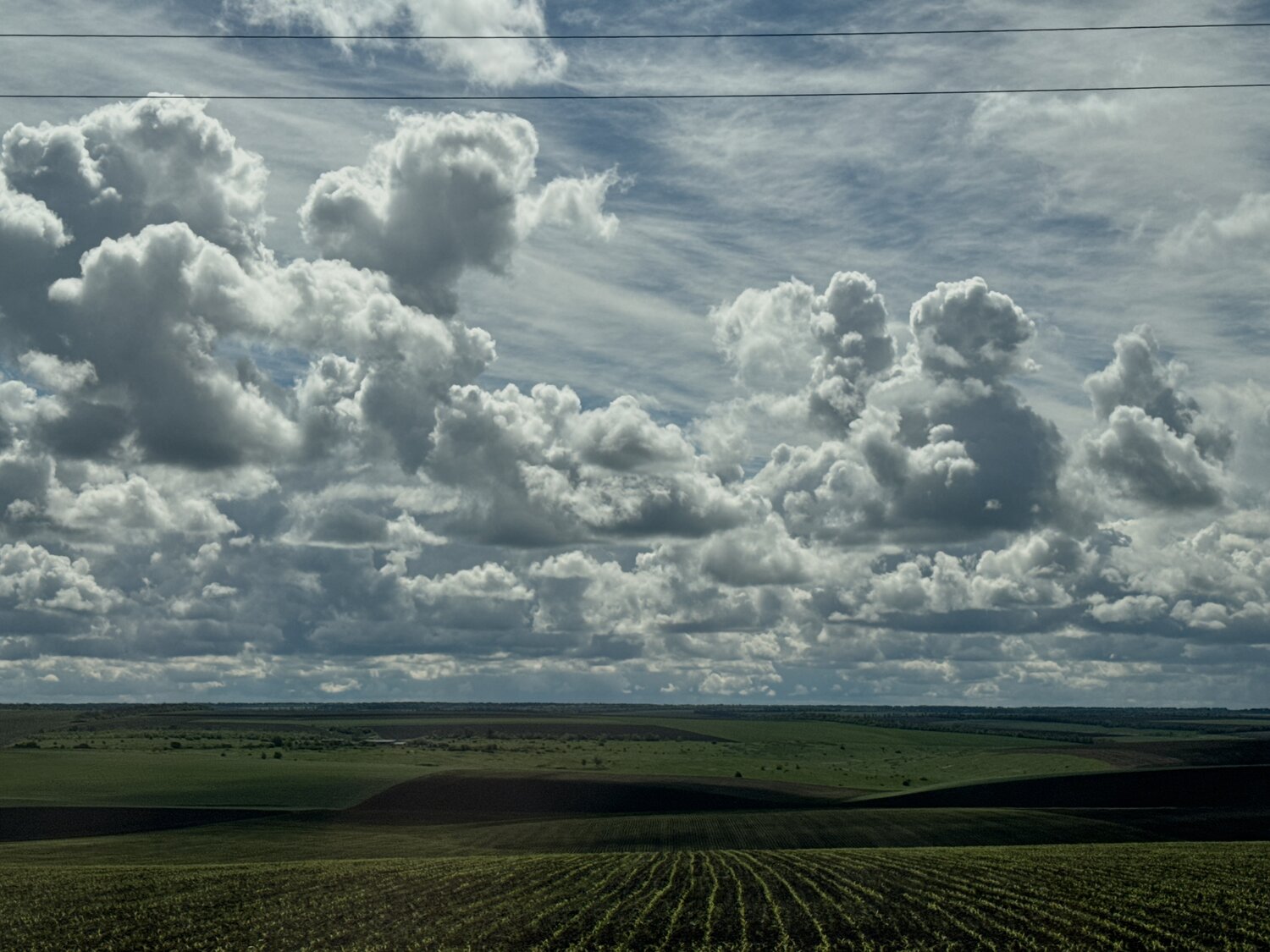 Photo #13766932