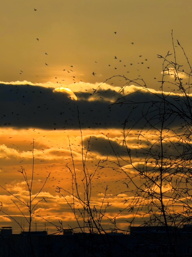 Photograph by Александра Бусарова