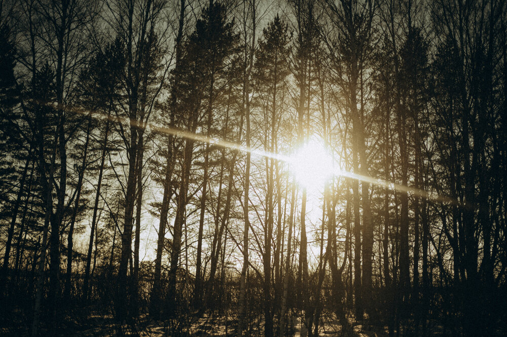 Photo #13767173