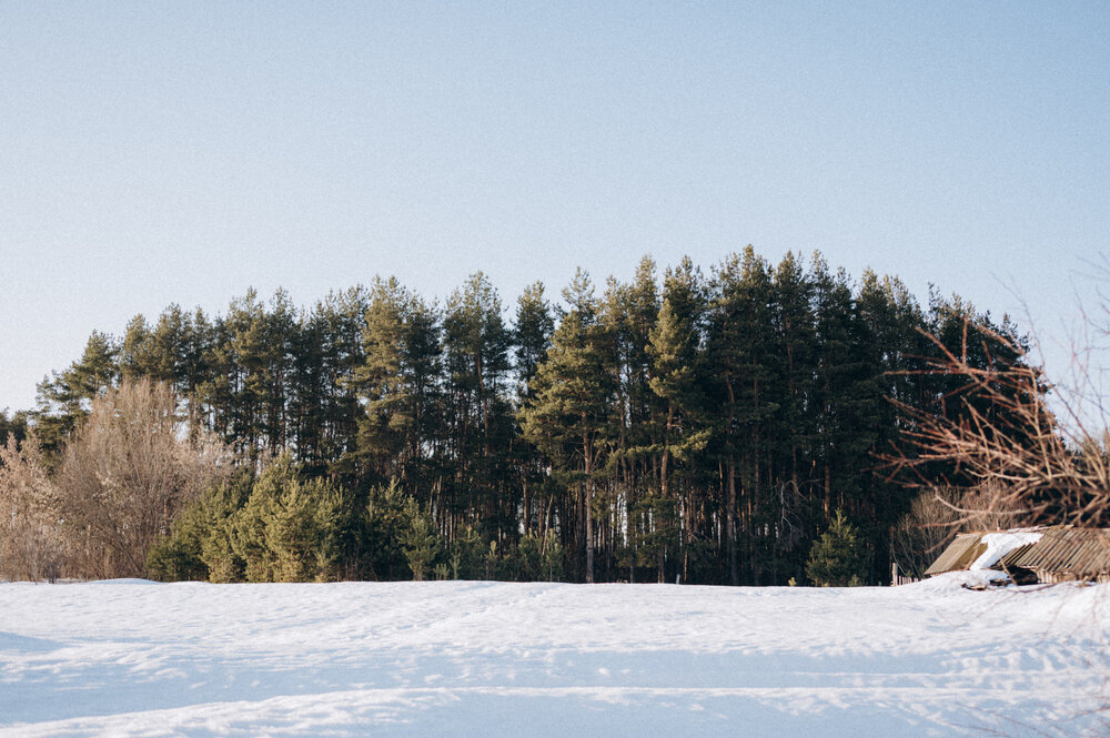 Photo #13767174