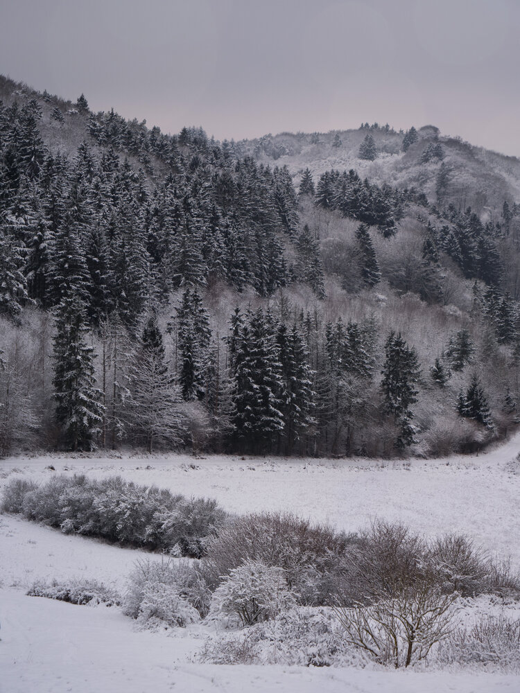 Photo #13767219
