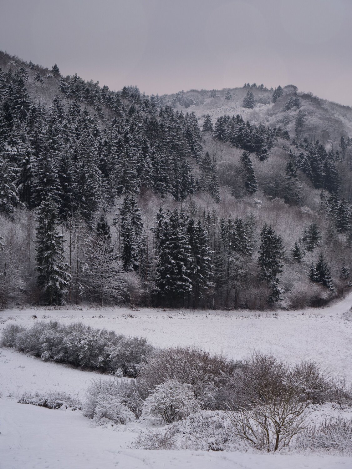Photo #13767219