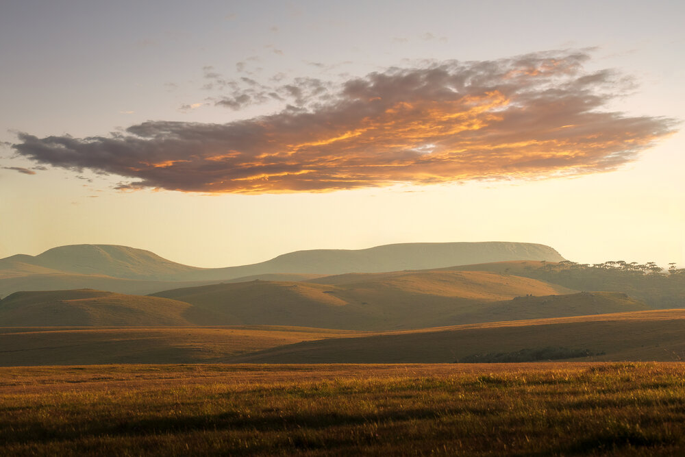 Photograph by Valdir Hobus